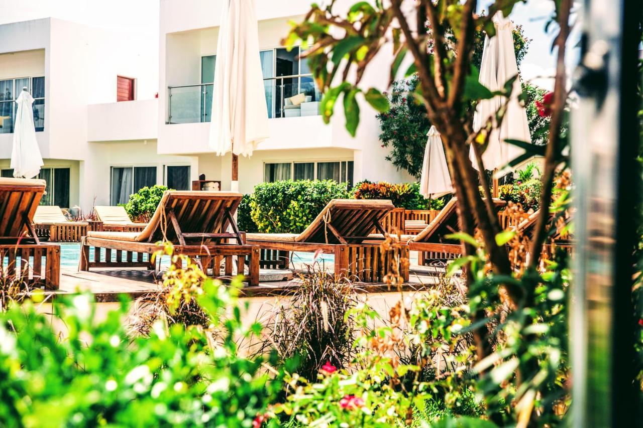 מלון Nungwi Dreams By Mantis מראה חיצוני תמונה The pool at the hotel